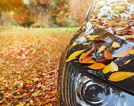 Transport,,Autumn,,Weather,,Vehicle,Concept.,Car,Is,Near,The,Park